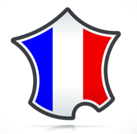 icone_France